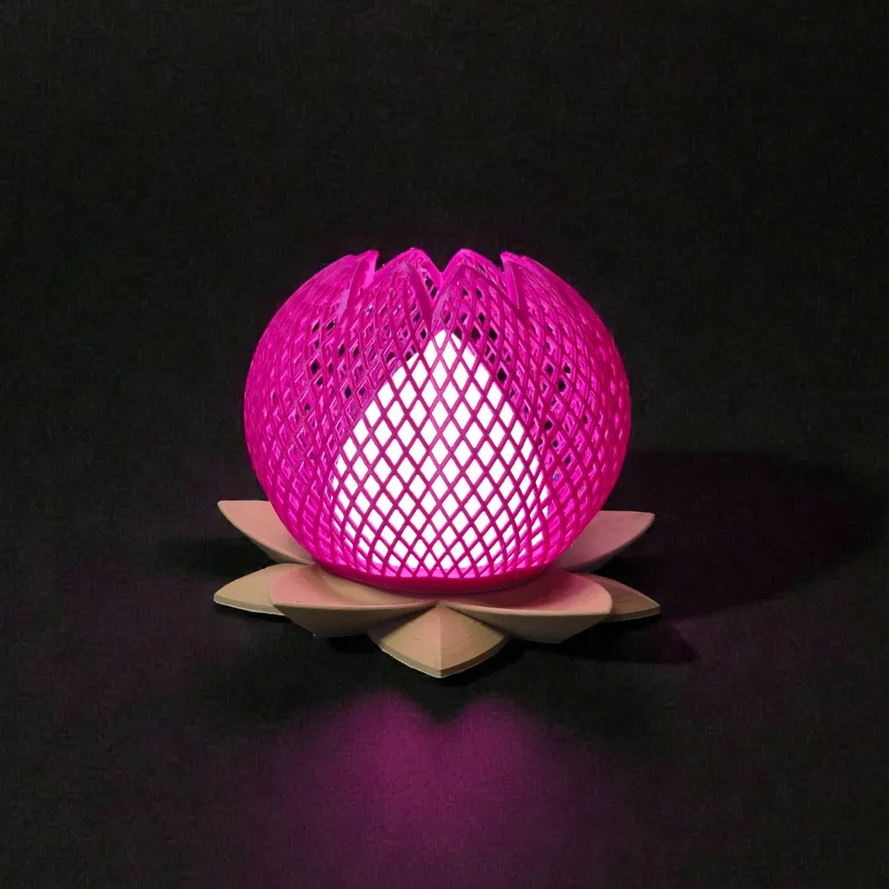 Design sans titre - 2026-01-13T131428.961.webp