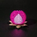 Design sans titre - 2026-01-13T131428.961.webp