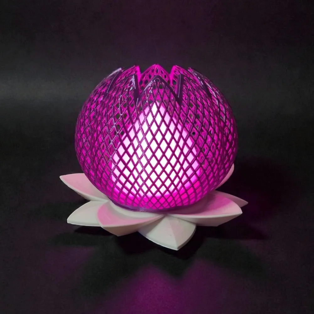 Design sans titre - 2026-01-13T131625.465.webp