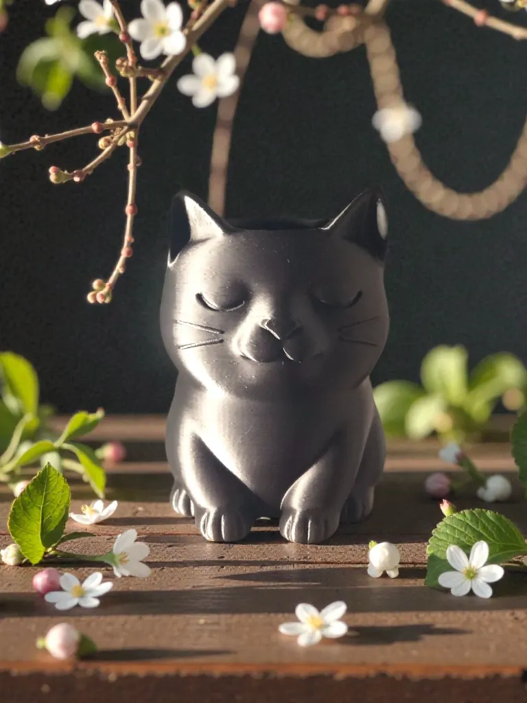 Chat vase 2.webp